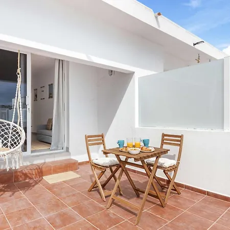 Bayside Cocoteros Hideaway Palm Sunset