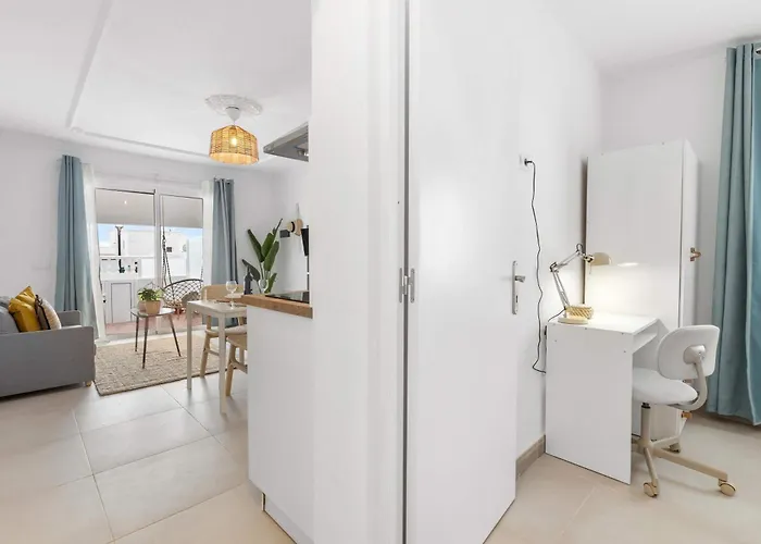 Bayside Cocoteros Hideaway Palm Sunset