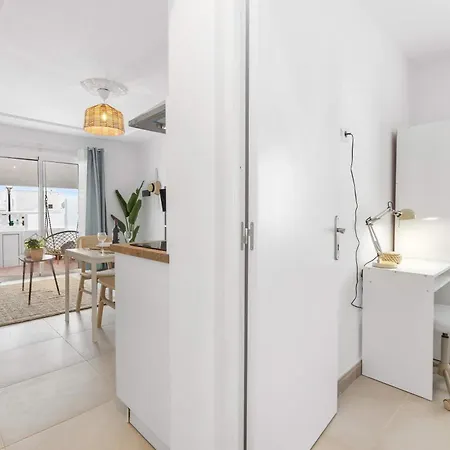 Bayside Cocoteros Hideaway Palm Sunset