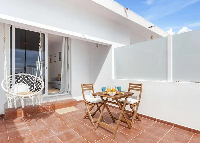 Bayside Cocoteros Hideaway Palm Sunset